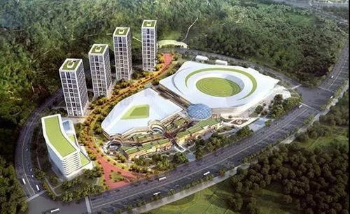 武漢躋身全球二線城市 運(yùn)動項(xiàng)目經(jīng)營迎來新機(jī)遇