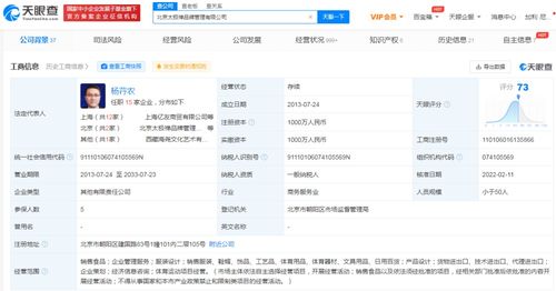 運(yùn)動項(xiàng)目經(jīng)營 策略、挑戰(zhàn)與未來趨勢